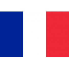 Fransa Bayrağı 70x105cm
