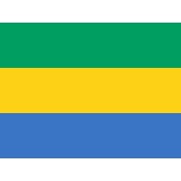 Gabon Bayrağı 70x105cm