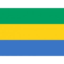Gabon Bayrağı 70x105cm