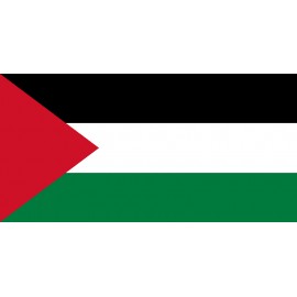 Gazze Bayrağı 70x105cm