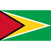 Guyana Bayrağı 70x105cm
