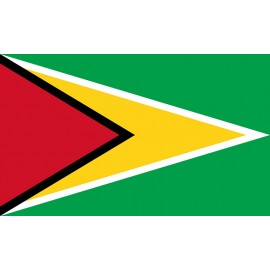 Guyana Bayrağı 70x105cm
