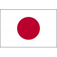 Japonya Bayrağı 70x105cm