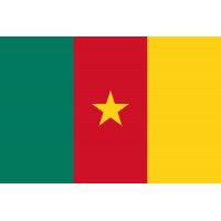 Kamerun Bayrağı 70x105cm