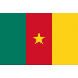 Kamerun Bayrağı 70x105cm