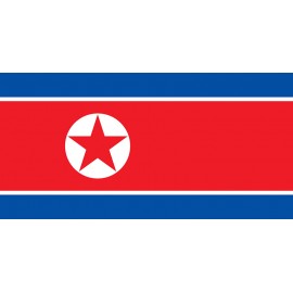 Kuzey Kore Bayrağı 70x105cm