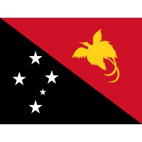 Papua Yeni Gine Bayrağı 70x105cm