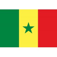 Senegal Bayrağı 70x105cm