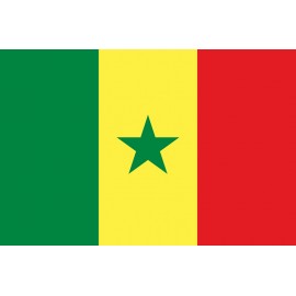 Senegal Bayrağı 70x105cm