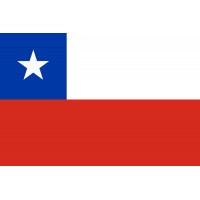 Şili Bayrağı 70x105cm