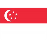 Singapur Bayrağı 70x105cm