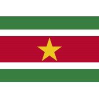 Surinam Bayrağı 70x105cm