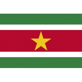 Surinam Bayrağı 70x105cm