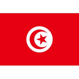 Tunus Bayrağı 70x105cm